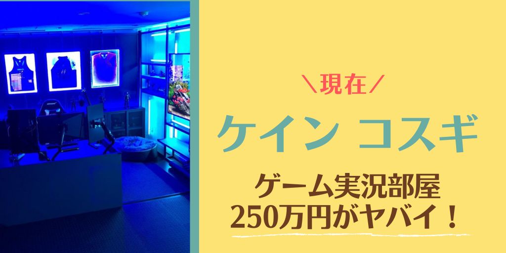 ケインコスギのゲーム部屋の内装費は250万円！現在は年収億越え？！