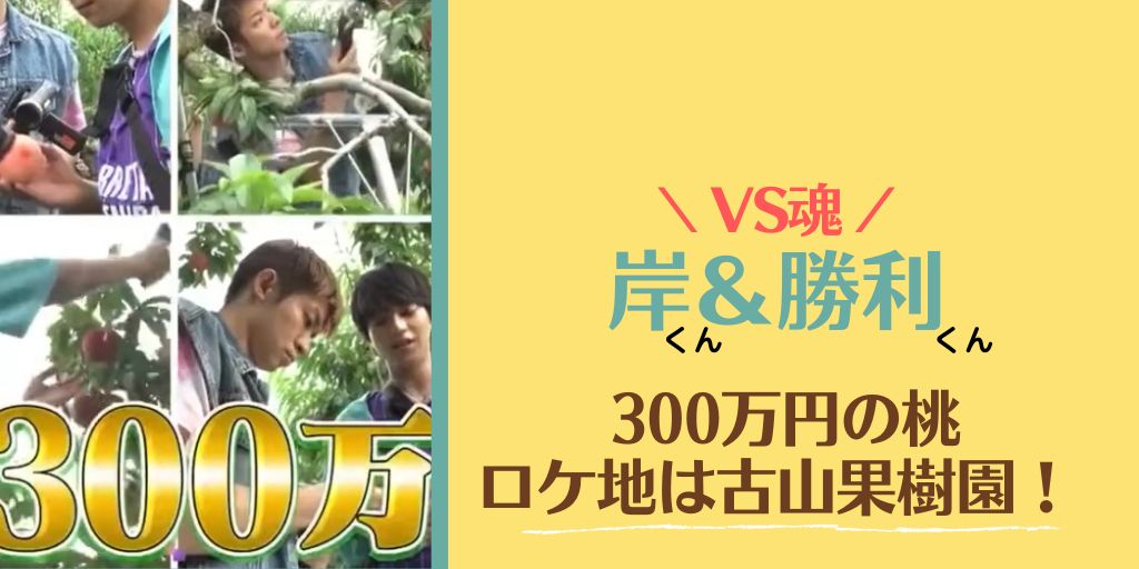 【VS魂】300万円桃のロケ地は古山果樹園(福島)！通販や購入方法も調査！